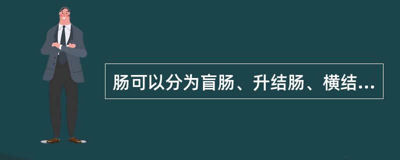 肠可以分为盲肠、升结肠、横结肠、降结肠以及乙状结肠4部。（）