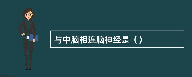 与中脑相连脑神经是（）