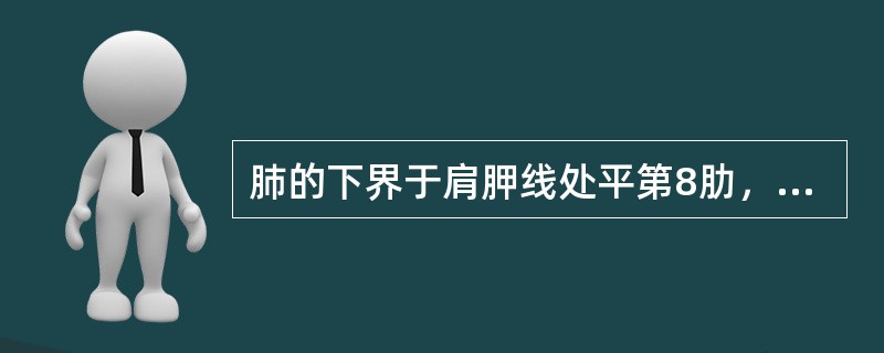 肺的下界于肩胛线处平第8肋，胸膜的下界在腋中线上也平第8肋。（）