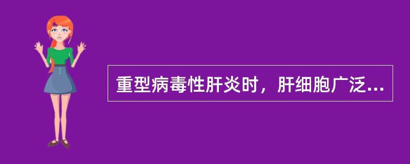 重型病毒性肝炎时，肝细胞广泛发生（）