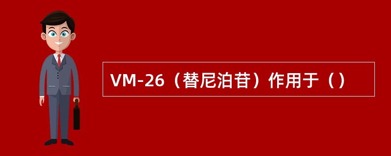 VM-26（替尼泊苷）作用于（）