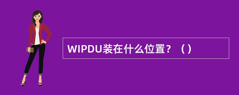 WIPDU装在什么位置？（）