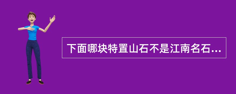 下面哪块特置山石不是江南名石？（）