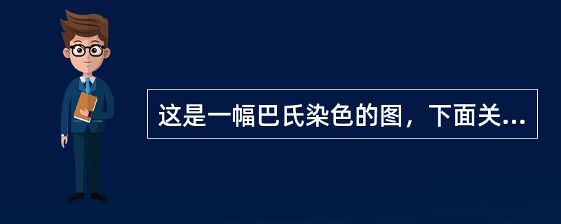 这是一幅巴氏染色的图，下面关于巴氏分类法的说法正确的是()