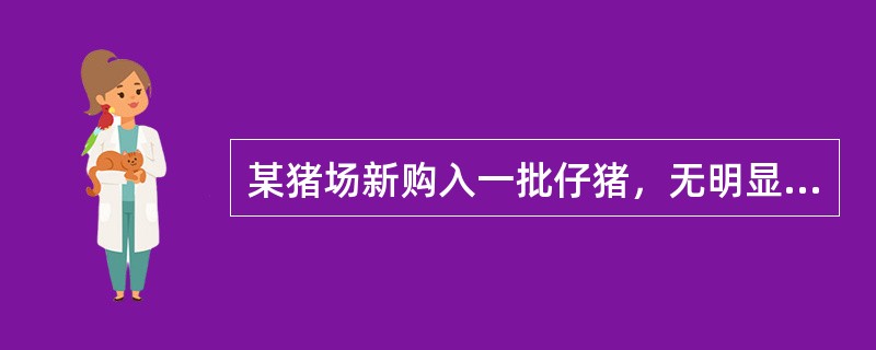 某猪场新购入一批仔猪，无明显临诊症状。经实验室检测发现，部分仔猪有猪瘟病毒血症，