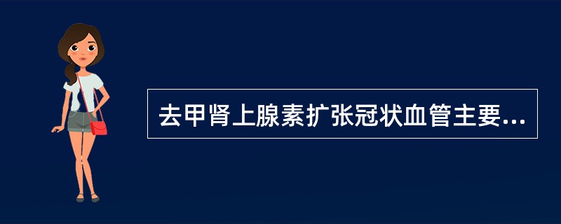 去甲肾上腺素扩张冠状血管主要是由于（）