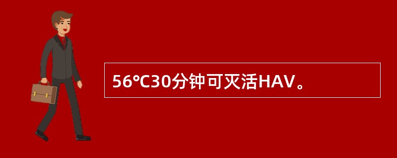 56℃30分钟可灭活HAV。