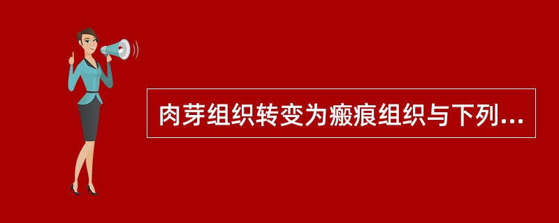 肉芽组织转变为瘢痕组织与下列哪一项无关（）