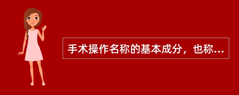 手术操作名称的基本成分，也称为核心轴心的是（）