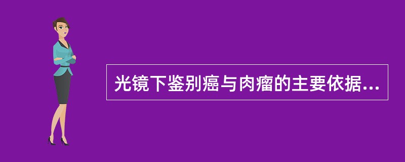 光镜下鉴别癌与肉瘤的主要依据是（）