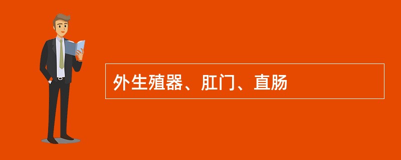 外生殖器、肛门、直肠 外生殖器、肛门、直肠