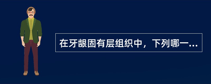 在牙龈固有层组织中，下列哪一组胶原纤维有助于游离龈附着在牙上（）。