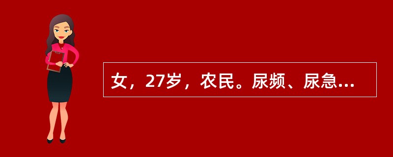 女，27岁，农民。尿频、尿急、尿痛，7-8次/天，加重时有终末血尿，尿检查：红细