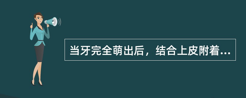 当牙完全萌出后，结合上皮附着于（）。