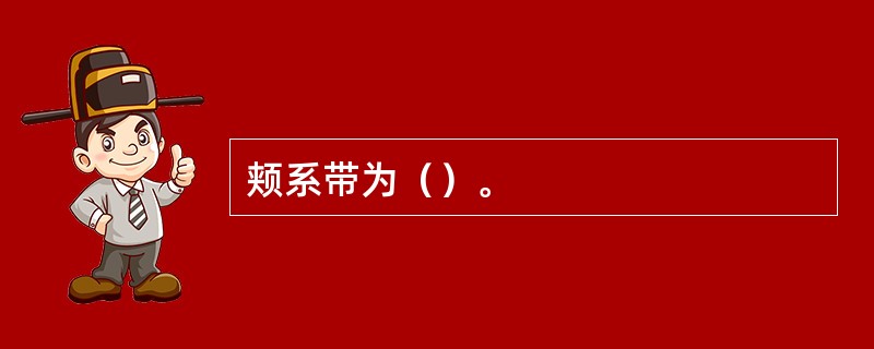 颊系带为（）。