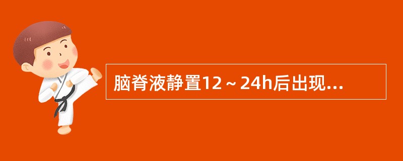 脑脊液静置12～24h后出现纤细的薄膜可能是（）。