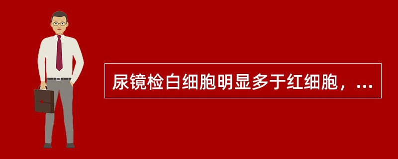 尿镜检白细胞明显多于红细胞，可见白细胞管型，蛋白增多不明显，常见于（）。