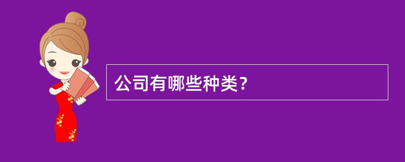 公司有哪些种类？