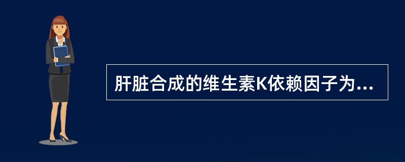 肝脏合成的维生素K依赖因子为（）。