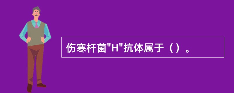 伤寒杆菌"H"抗体属于（）。