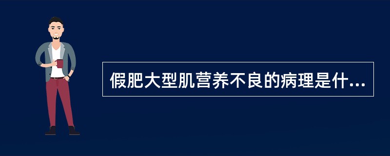 假肥大型肌营养不良的病理是什么?
