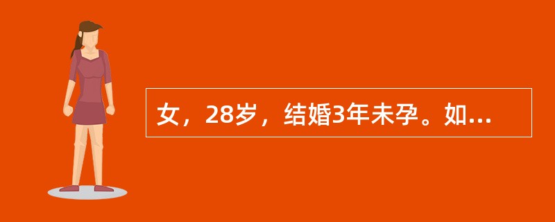 女，28岁，结婚3年未孕。如上检查若未发现异常，应作何处理()