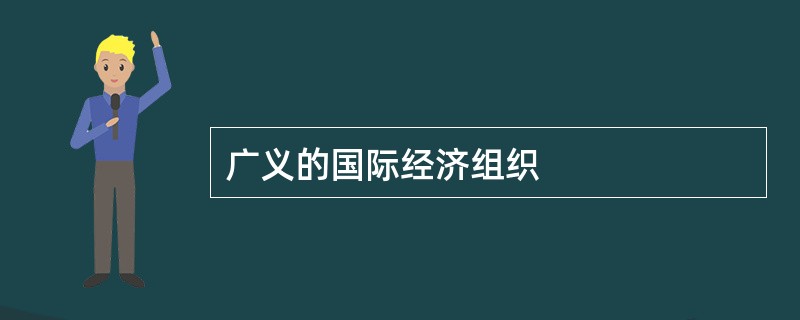 广义的国际经济组织