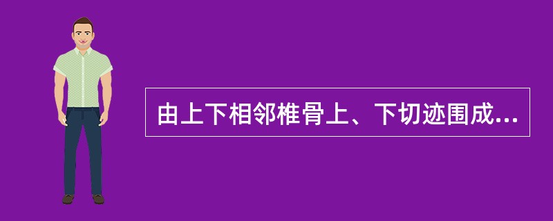 由上下相邻椎骨上、下切迹围成的结构是（）