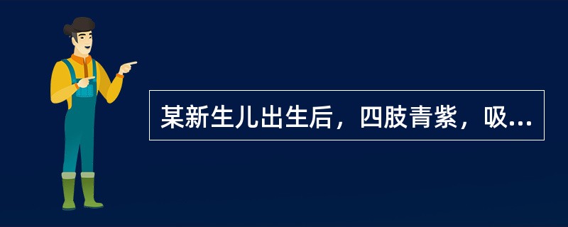 某新生儿出生后，四肢青紫，吸痰器清理呼吸道时患儿有恶心表现，患儿四肢稍屈，心率9