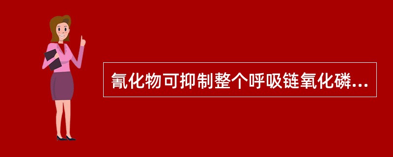 氰化物可抑制整个呼吸链氧化磷酸化。