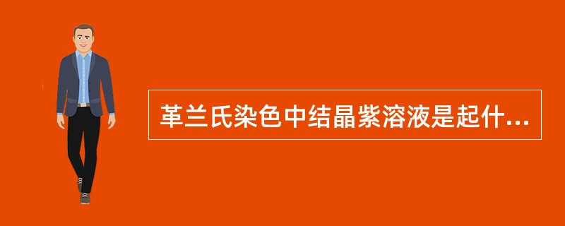 革兰氏染色中结晶紫溶液是起什么作用的溶液（）。