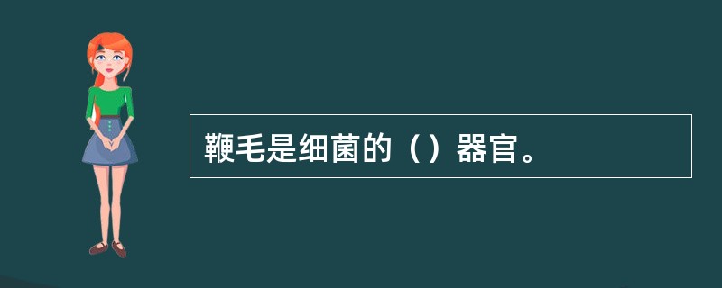 鞭毛是细菌的（）器官。