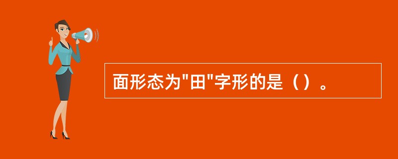 面形态为"田"字形的是（）。
