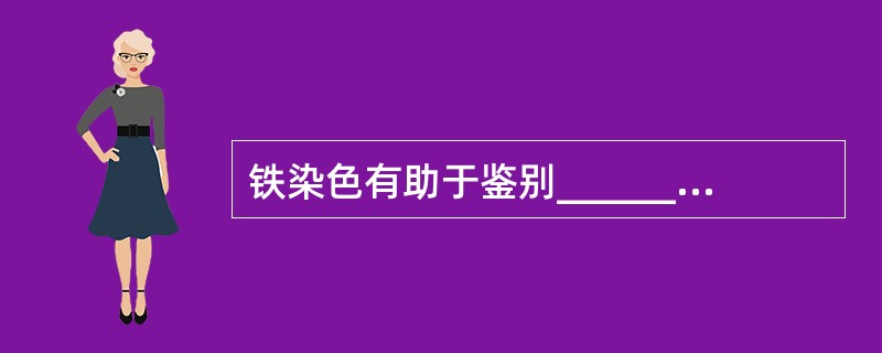 铁染色有助于鉴别____________和_____________这两种小细胞