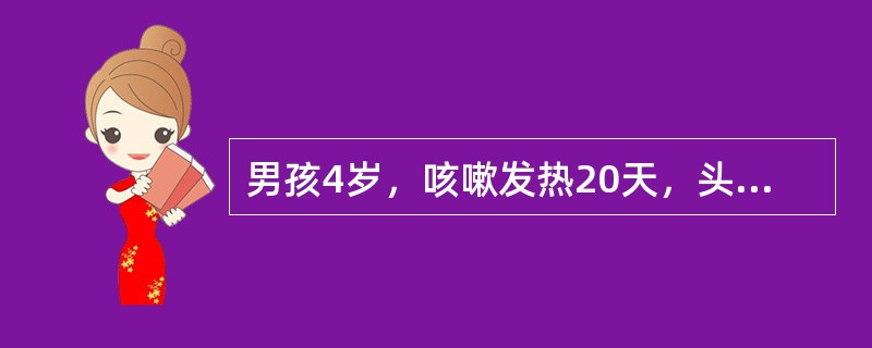 男孩4岁，咳嗽发热20天，头痛呕吐5天，曾用多种抗生素治疗无效。查体：体温38℃