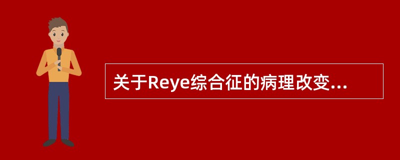 关于Reye综合征的病理改变哪项是错误的()