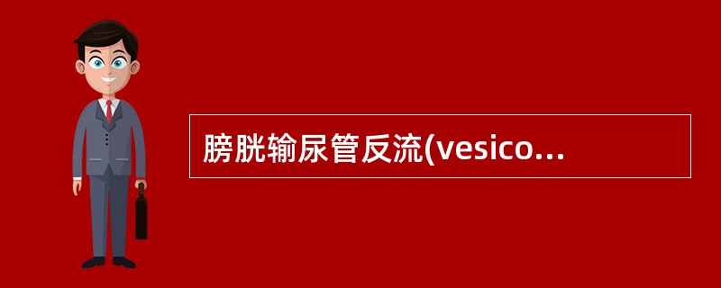 膀胱输尿管反流(vesicoureteralreflux)