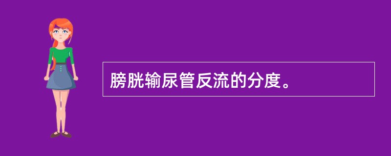 膀胱输尿管反流的分度。