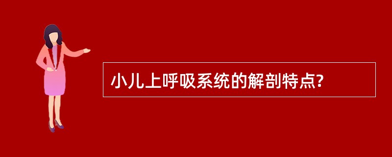 小儿上呼吸系统的解剖特点?