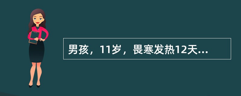 男孩，11岁，畏寒发热12天，伴头痛，纳差，轻度咳嗽，偶有恶心。近2天便秘。体检