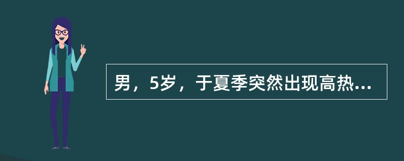 男，5岁，于夏季突然出现高热，2小时后抽搐，面色灰暗，四肢凉，血压下降，心肺未见