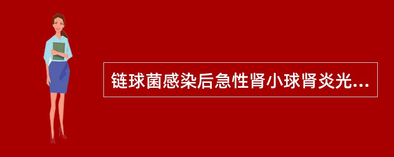 链球菌感染后急性肾小球肾炎光镜下典型病理改变为（）