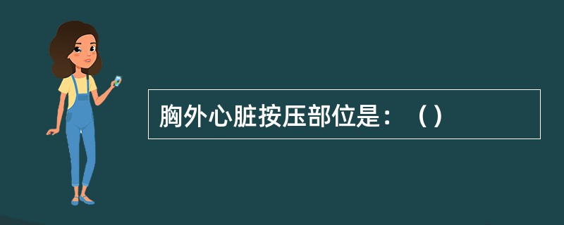 胸外心脏按压部位是：（）