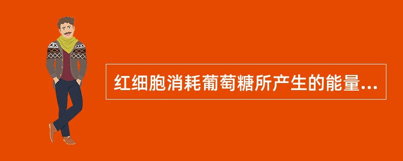 红细胞消耗葡萄糖所产生的能量主要用于：（）