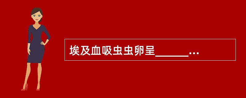 埃及血吸虫虫卵呈____________，在虫卵的一端有一_______，内含一