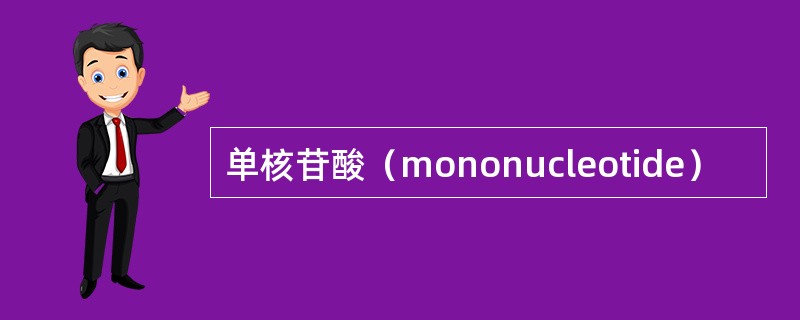 单核苷酸（mononucleotide）
