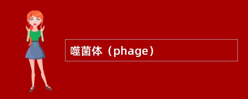 噬菌体（phage）