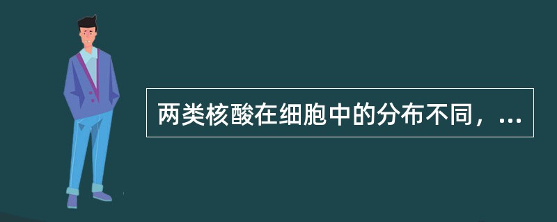 两类核酸在细胞中的分布不同，DNA主要位于（）中，RNA主要位于（）中。