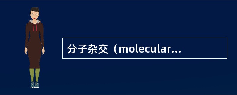 分子杂交（molecular hybridization）