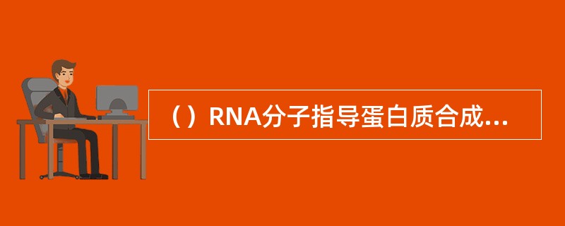（）RNA分子指导蛋白质合成，（）RNA分子用作蛋白质合成中活化氨基酸的载体。